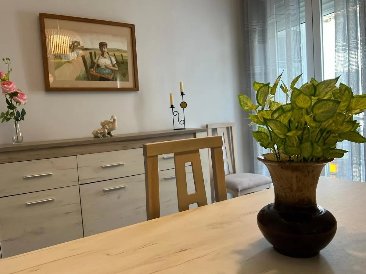Apartamento La Pelota De Loren Cordoba Apartment